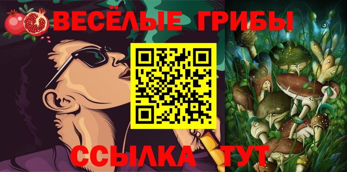 Галлюциногенные грибы Psilocybe  Вход с VPN  Гуково 