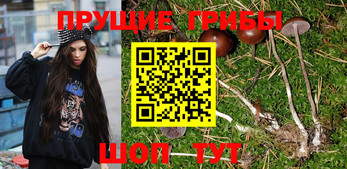Псилоцибиновые грибы мухоморы Гуково